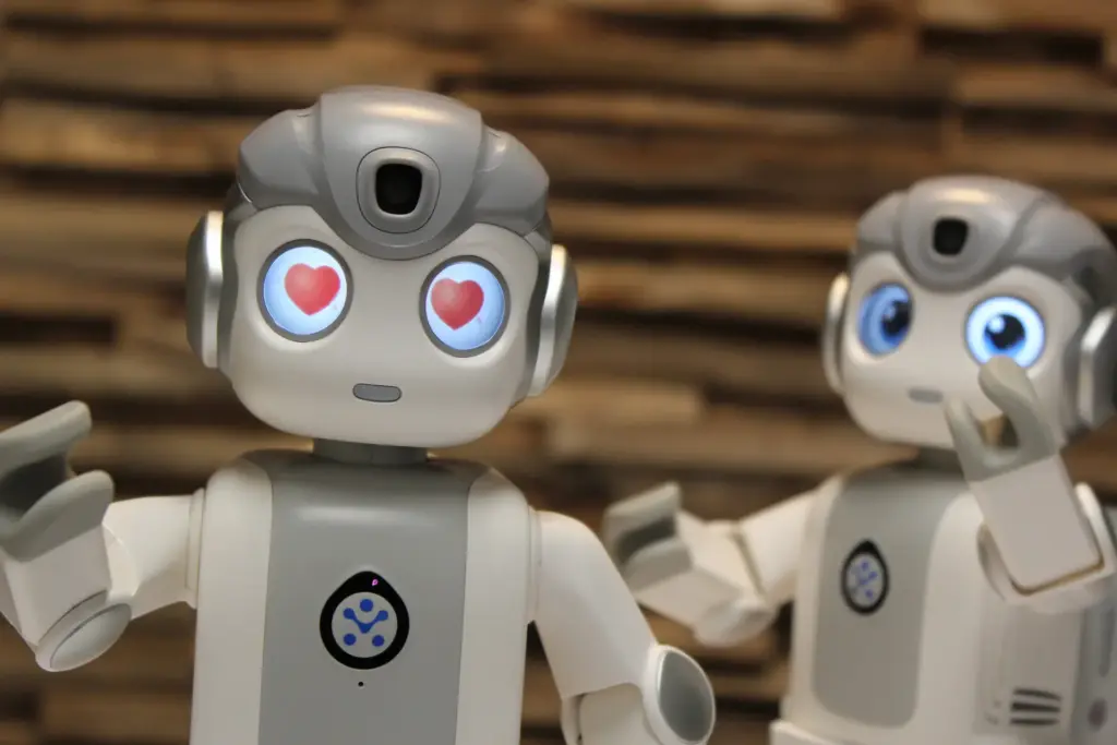Sociale robot Robin